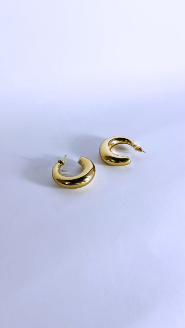 Aretes Aura