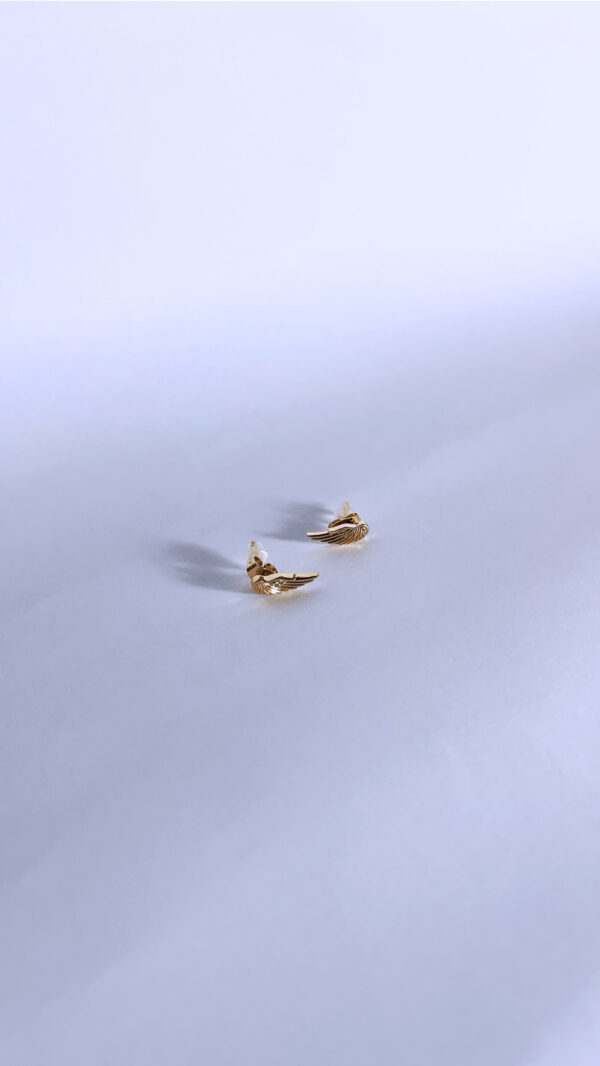 Aretes Ciela