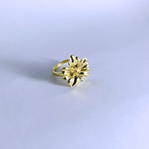 Anillo Golda