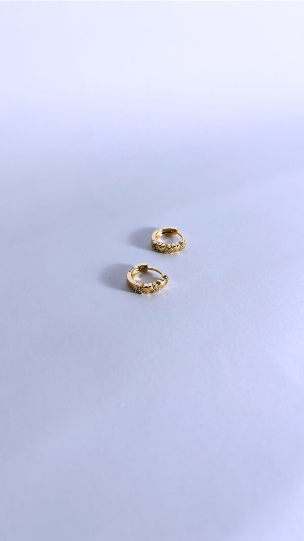 Aretes Heartz