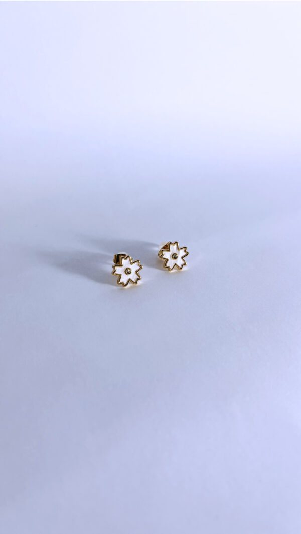 Aretes Luzia