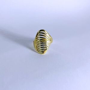 Anillo Shielda