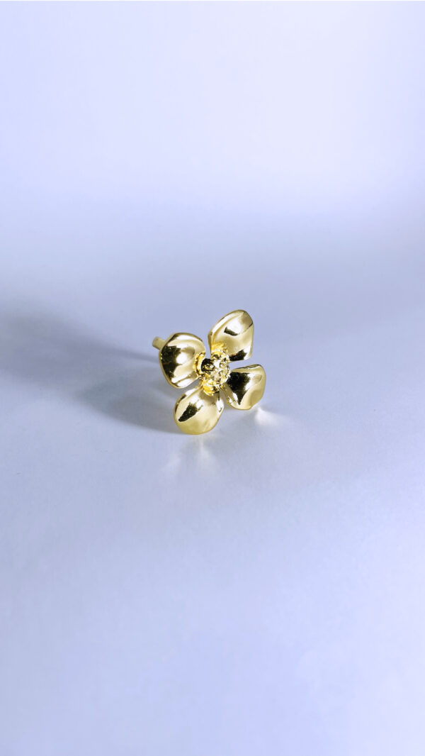 Anillo Solia