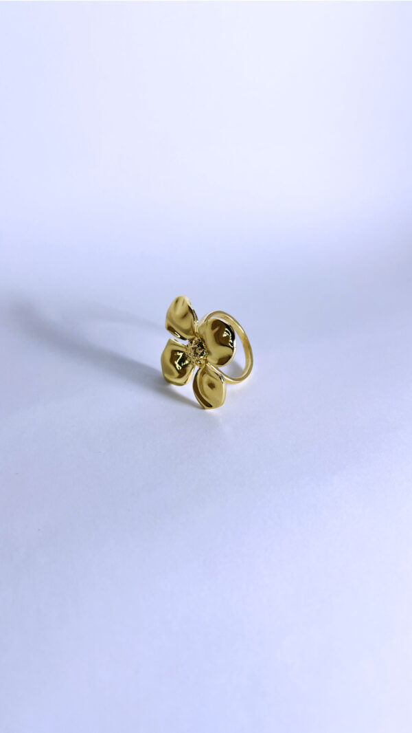 Anillo Solia - Imagen 2