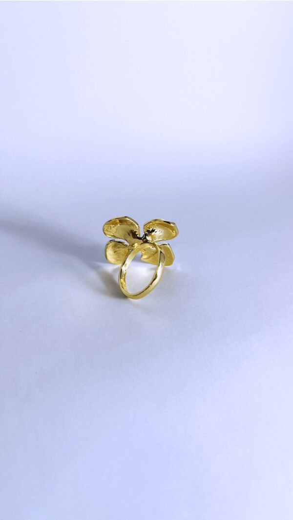 Anillo Solia - Imagen 3