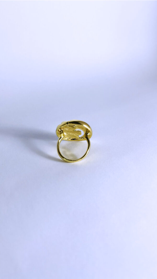 Anillo Splitz - Imagen 3