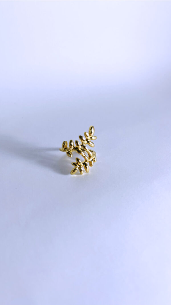 Anillo Verdia