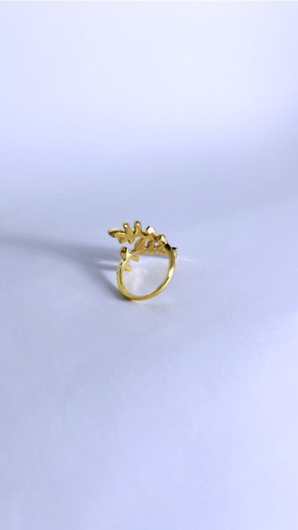 Anillo Verdia - Imagen 3